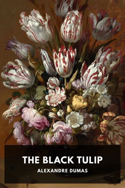 Cover of The Black Tulip