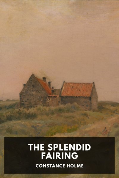 Cover of The Splendid Fairing