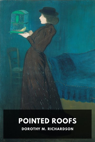 Cover of Pointed Roofs