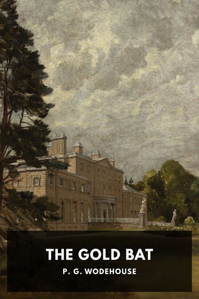 Cover of The Gold Bat