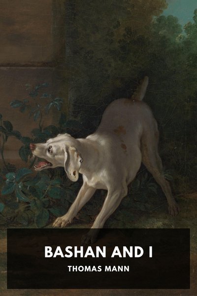 Cover of Bashan and I