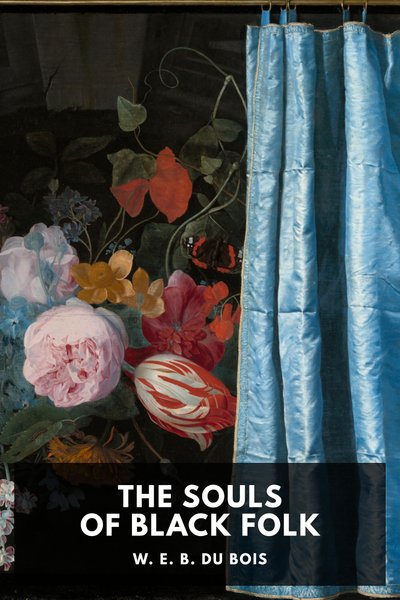 Cover of The Souls of Black Folk